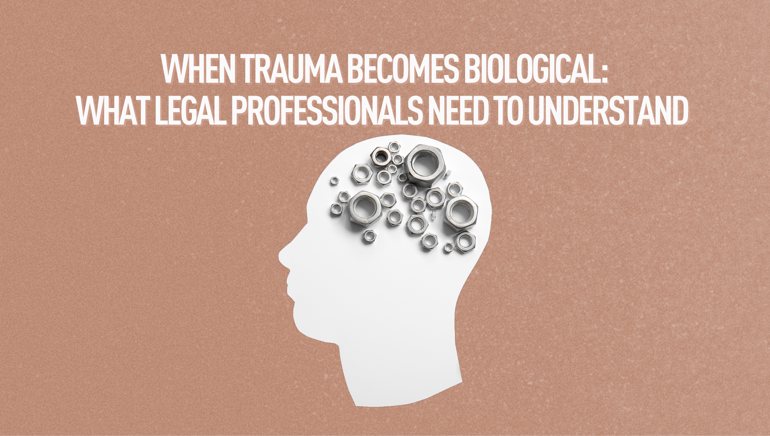When Trauma Becomes Biological: What Legal Professionals Need to Understand